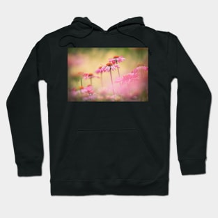 Echinacea flowers Hoodie